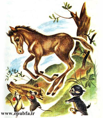 قصه کودکانه کرهاسب کوچولوی بامزه - محصول ایپابفا - ارشیو قصه و داستان کودکانه